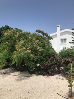 Villa Olivia, Coral Bay - Coral Bay - 4