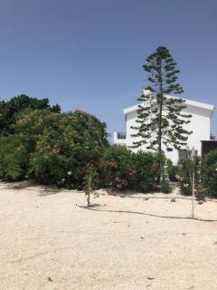 Villa Olivia, Coral Bay - 3