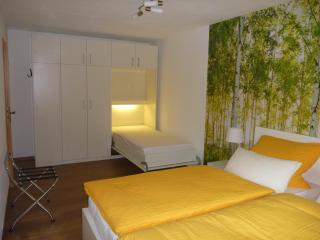 Ferienwohnung Birkennest - 1