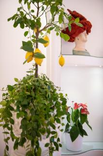 Hotel Royal Prisco - Positano - 3