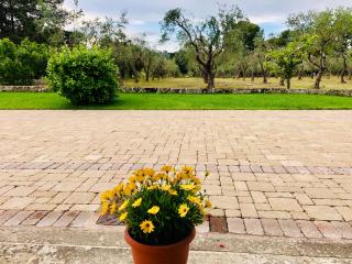 Villa Emanuel - 5