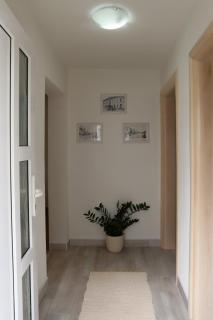 Apartman Sofia - 1