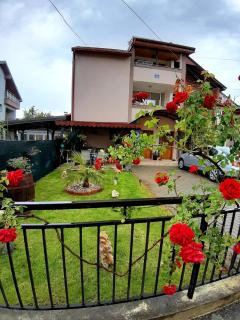 Apartment Jonoski - Ohrid - 3
