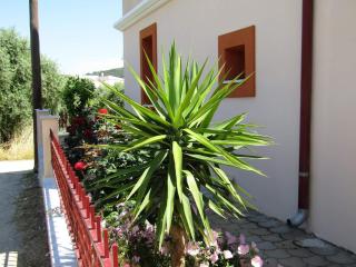 Olive Grove House - Limenaria - 3