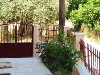 Olive Grove House - Limenaria - 1