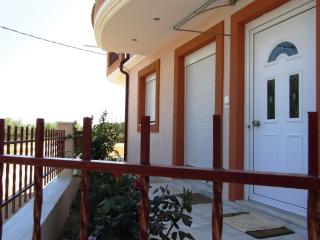 Olive Grove House - Limenaria - 5