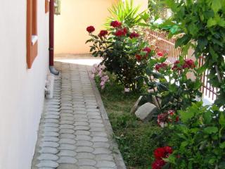 Olive Grove House - Limenaria - 4