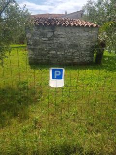 Olea - Umag - 3
