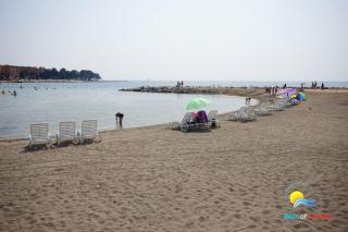 Olea - Umag - 7