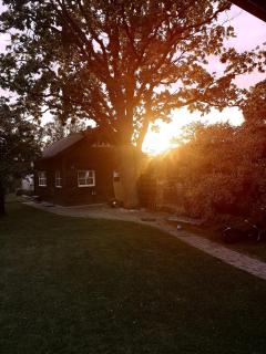 Green Garden house - Jurmala - 6