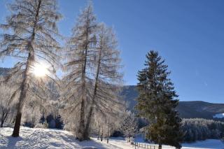 Apartment Lukas Huber - Bruneck - 1