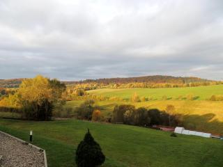Edwardówka 601-130-636 - lipiec - sierpień - basen w cenie wynajmu domku - 1