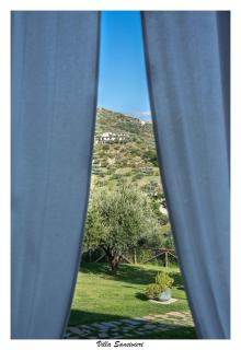 Villa Sansivieri - Agropoli - 4
