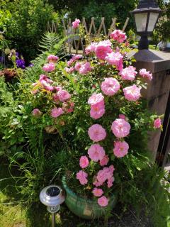 Helen's House / Close to Skytrain and Airport - Vancouver - 6