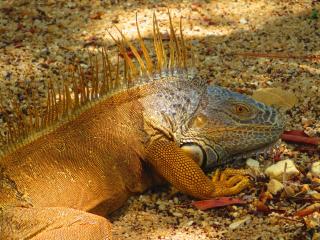 Simberts Apartments - 2