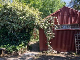 Berg Cottage - Clarens - 4