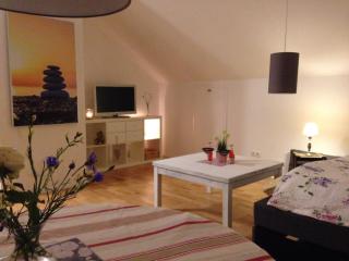 Gemütliche, großzügige Ferienwohnung - 1