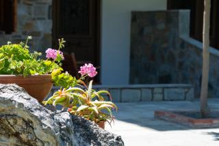 Garden House Psarogiannis - Vourvourou - 6