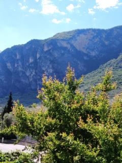 Casa Akira - Riva del Garda - 8