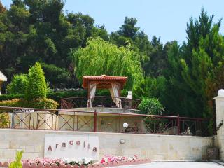 Aracelia villas with private pool - Siviri - 6