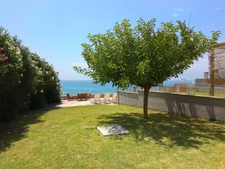 Dip In The Blue - 1 - Agios Georgios - 4