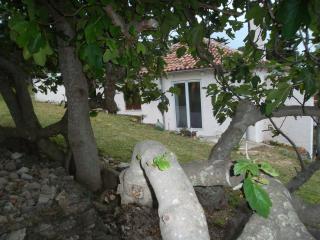 Apartment Damir - Nerezine - 7