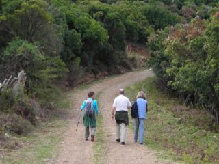 Ikarian Centre - Accommodation & mountain hiking - Evdilos - 6