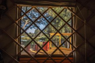 The Yurt Wai Rua - 4