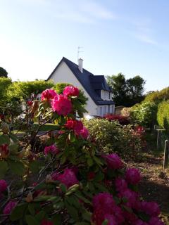 Chambre belle demeure - Gouesnou - 4