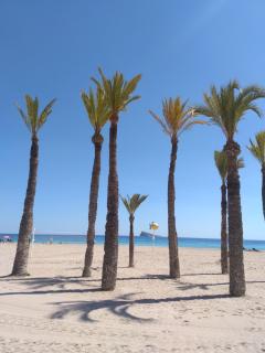 Apartamento Orly centro - Benidorm - 0