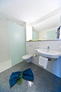 Wohlfühl-Hotel Neu Heidelberg - Heidelberg - 8