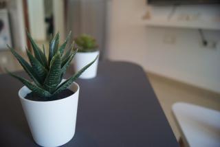 CDZ - Ático Tavira - 3