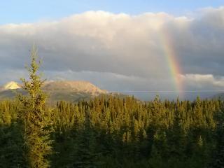 Denali's Alaskan Spruce Cabins - Healy - 6