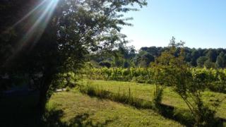 La Petite Auberge - Comps - 6