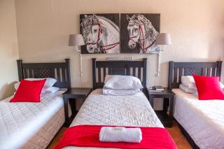 Tzaneen Arborpark Lodge - Tzaneen - 7