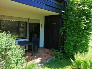 Mike's Apartment inkl. Oberstaufen Plus Card - 4