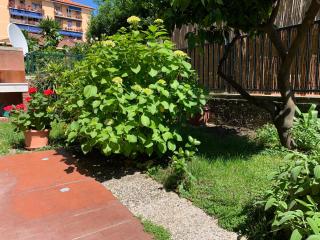 Il giardino dei limoni - Chiavari - 7