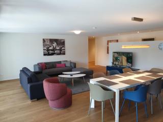 Swiss Hotel Apartments - Interlaken - 8