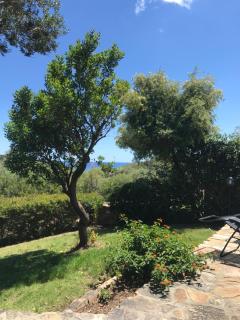 Domus Carlotta Apartment with sea view Villasimius - Is Traias - 0