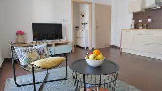 Paradiso apartment - Pula - 1