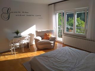 Apartman Zen - 1