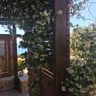 Natica Mare Villas - Xerokampos - 3