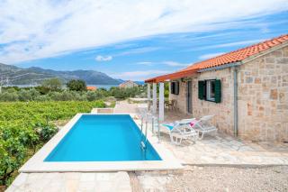 Vineyard House & Olive Grove House - Račišće - 9