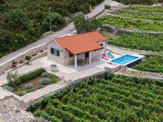 Vineyard House & Olive Grove House - Račišće - 3