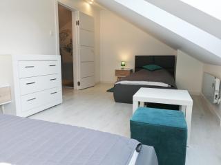 De Luxe Blue Mare - 2