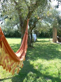 Bed&Breakfast La Zagara - Querceta - 3