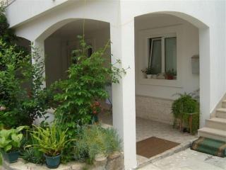 Apartments Zoki - Vis - 7