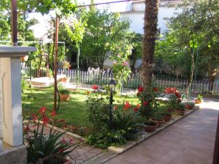 Apartments Renato - 5