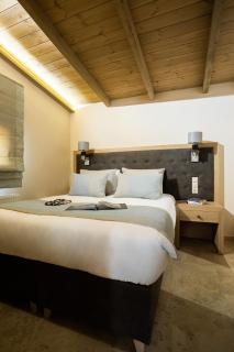 Meteora boutique villa E - Kalabaka - 2