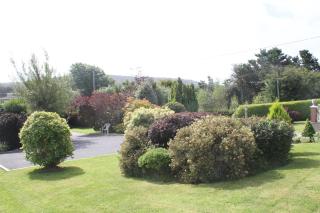 Marguerite's B&B - Skibbereen - 1